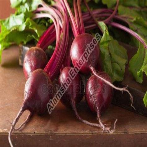 Mild Flavor Natural Rich Taste Healthy Organic Red Fresh Beetroot Shelf