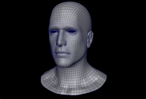 男性头基网 3d模型 5 Ma Free3d