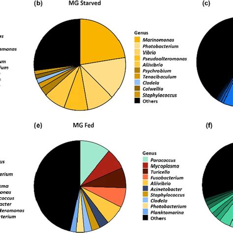 Pie Charts Showing The Mean Relative Abundance Of The 10 Most Abundant Download Scientific