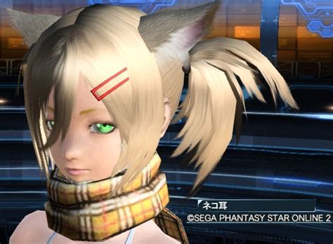 ルネのゲーム日記 Pso2 アクセサリー画像その4