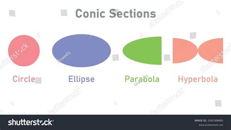 Types Conic Sections Circle Ellipse Parabola Stock Vector Royalty Free