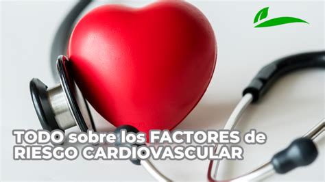 Factores De Riesgo Cardiovascular Lo Que Necesitas Saber