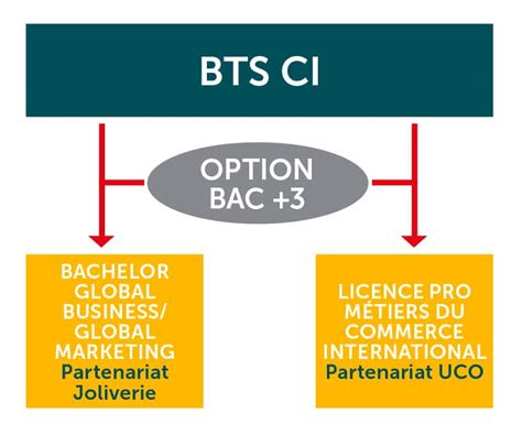 Bts Commerce International Saint Gab Etablissement Scolaire En Vend E