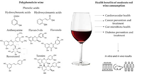 Polyphenols present in red wine and the health benefits of moderate red ...