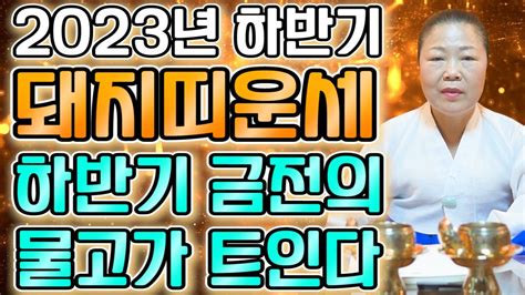 2023년 하반기 금전재물 대박나는 돼지띠운세 막혔던 금전이 풀린다 천운이다 65세 53세 41세 29세 59년생 71