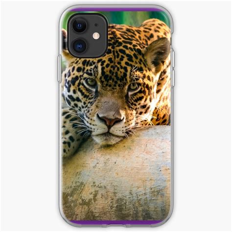 "Animal" iPhone Case & Cover by lvsworks | Redbubble