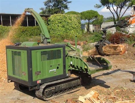 Wood Chipper Professional Drum Chippers For Sale Pezzolato