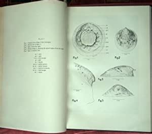 The Anatomy of Neopilina galatheae Lemche 1957. (Mollusca Tryblidiacea); with SCHMIDT, W. J ...