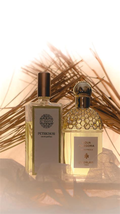 Aqua Allegoria Herba Fresca Guerlain Parfum Een Geur Voor Dames En