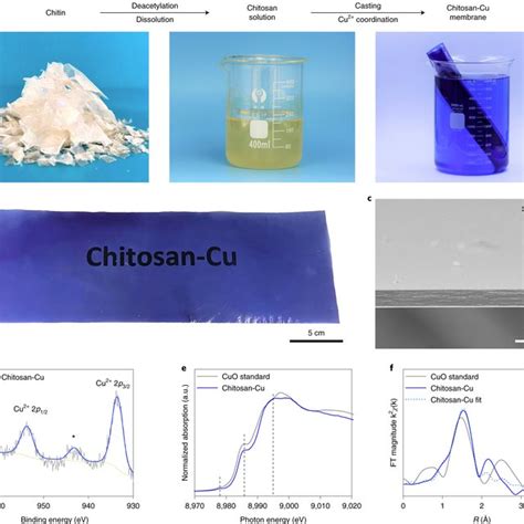 Fabrication And Characterization Of The Chitosan Cu Membrane A Digital Download Scientific