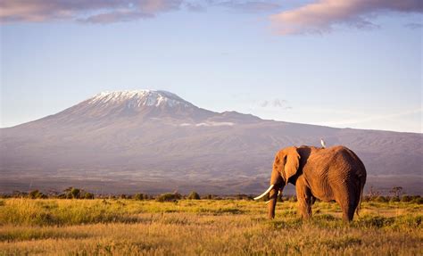 S Jour Tanzanie Jours De Mont E Sur La Route De Machame A La