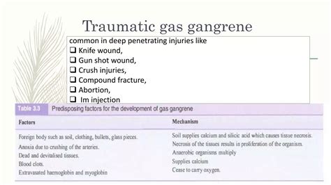 Gas Gangrene Ppt Free Download