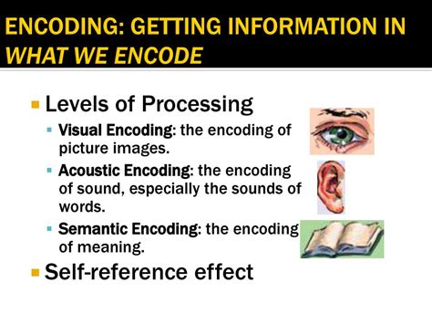 UNIT 7A COGNITION: MEMORY. - ppt download