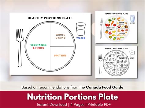 Healthy Eating Plate Vector Labeled Educational Food Stock 56 Off