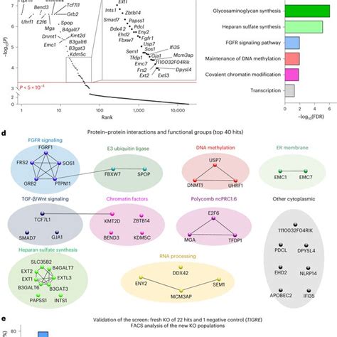 A Genome Wide Crispr Ko Screen For Dazl Gene Reactivation In The Dash