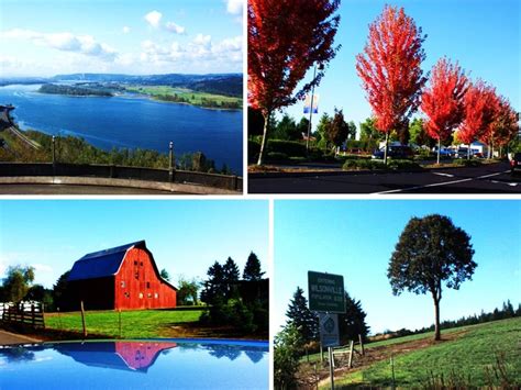 29 best images about Wilsonville, Oregon on Pinterest | Usonian, Park ...