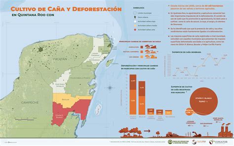 Infomapa de Cultivo de Caña en Quintana Roo y deforestación idefor