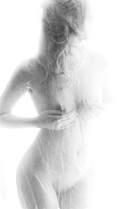 Black And White Nude Female Silhouette Stock Photo Image Of Caucasian Eroticism