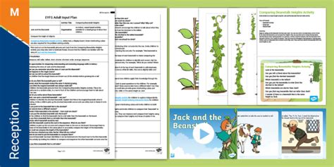 Eyfs Comparing Beanstalk Heights Adult Input Plan And Pack