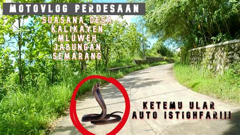 SUASANA DESA KALIKAYEN MLUWEH JABUNGAN SEMARANG YouTube