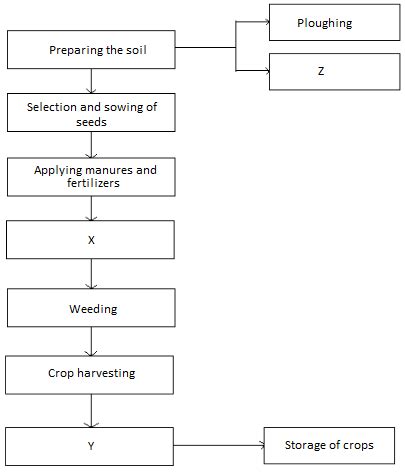 Write A Flow Chart From Ploughing To Yielding In Paddy