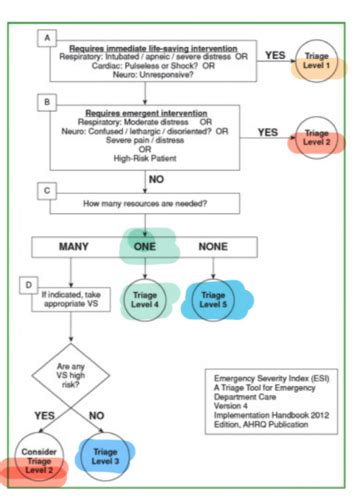 Triage Flashcards Quizlet