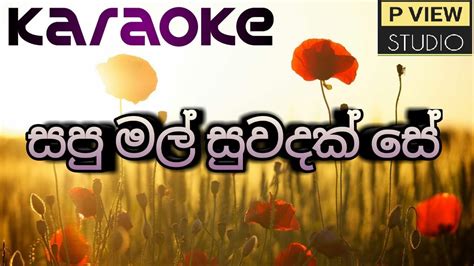 Sapumal Suwandak Se Karaoke Without Voice සපුමල් සුවඳක් සේ