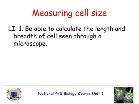 PPT Unit One Cell Biology PowerPoint Presentation ID 6184909