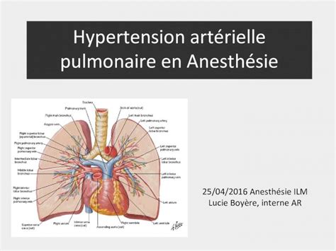 Pdf Hypertension Art Rielle Pulmonaire En Anesth Siechutlspprilm