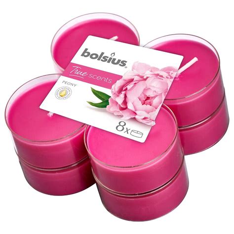 Bolsius True Scents Maxi Duftteelichter Im Clear Cup Teelichte Vers