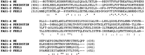 ClustalW Multiple Sequence Alignment Of Different Human FAS1 Domains