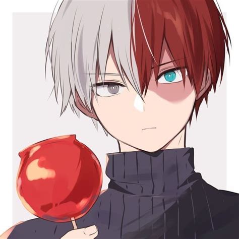 Amor entre héroes todoroki x male reader Artofit