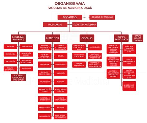 Organigrama Portal Facultad De Medicina Uach Hot Sex Picture