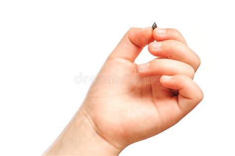 A Small Black Chip Holds A Children`s Hand Stock Photo Image Of