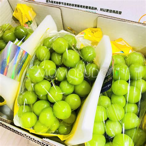 China Shine Muscat Grapes High Sweetness — Momobud