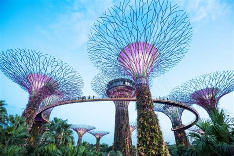 Cosa Vedere A Singapore Migliori Attrazioni E Quartieri Da Visitare