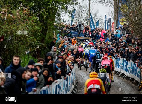 Oudenaarde Belgium Nd Apr The Pack Of Riders Pictured In