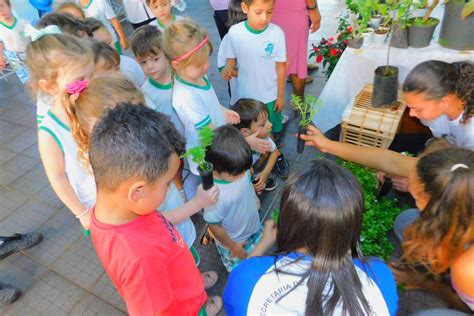 Escola Ecol Gica Ganhou Espa O Revitalizado Pelo Florir Toledo Portal