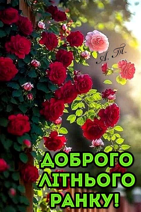 Pin su pictures