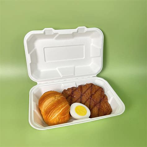 Eco Friendly Disposable Takeaway Bagasse Takeout Fast Food Box 9 6 Biodegradable Sugarcane