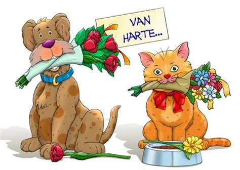 Grappige Felicitatiekaart Met Hond En Kat Met Kaartje2go