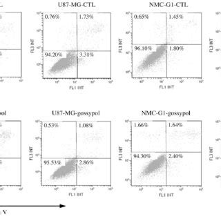 Effect Of Gossypol Treatment On Apoptosis Induction Apoptosis Was