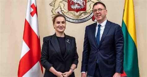 Georgian Lithuanian Deputy Defence Ministers Discuss Cooperation