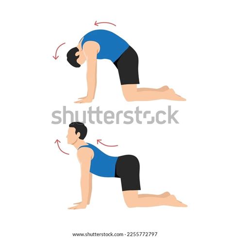 Man Doing Yoga Cat Cow Pose Stock Vector (Royalty Free) 2255772797 | Shutterstock