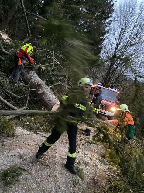 Einsatzbericht Drei Eins Tze Wegen Sturmsch Den Willkommen Bei Der