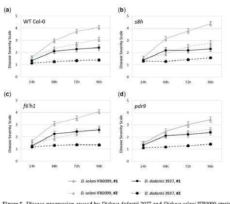 Disease Progression Caused By Dickeya Dadantii 3937 And Dickeya Solani Download Scientific