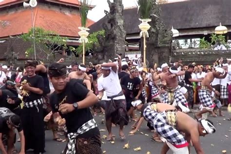 Warga Badung Bali Kembali Gelar Perang Ketupat Antara News