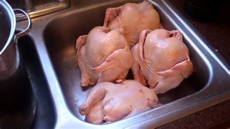 How To Brine Chickens Youtube