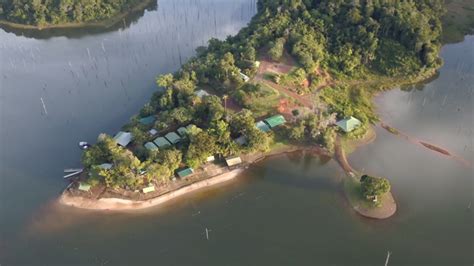 Video Fishing Piranhas For Breakfast In The Biggest Lake In Suriname