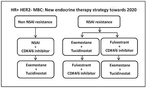 Endocrine Therapy Combined With Targeted Therapy In Hormone Receptor